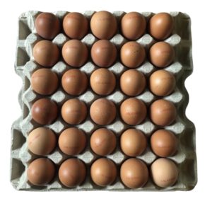 Tray 30 eieren Het Boerdereitje