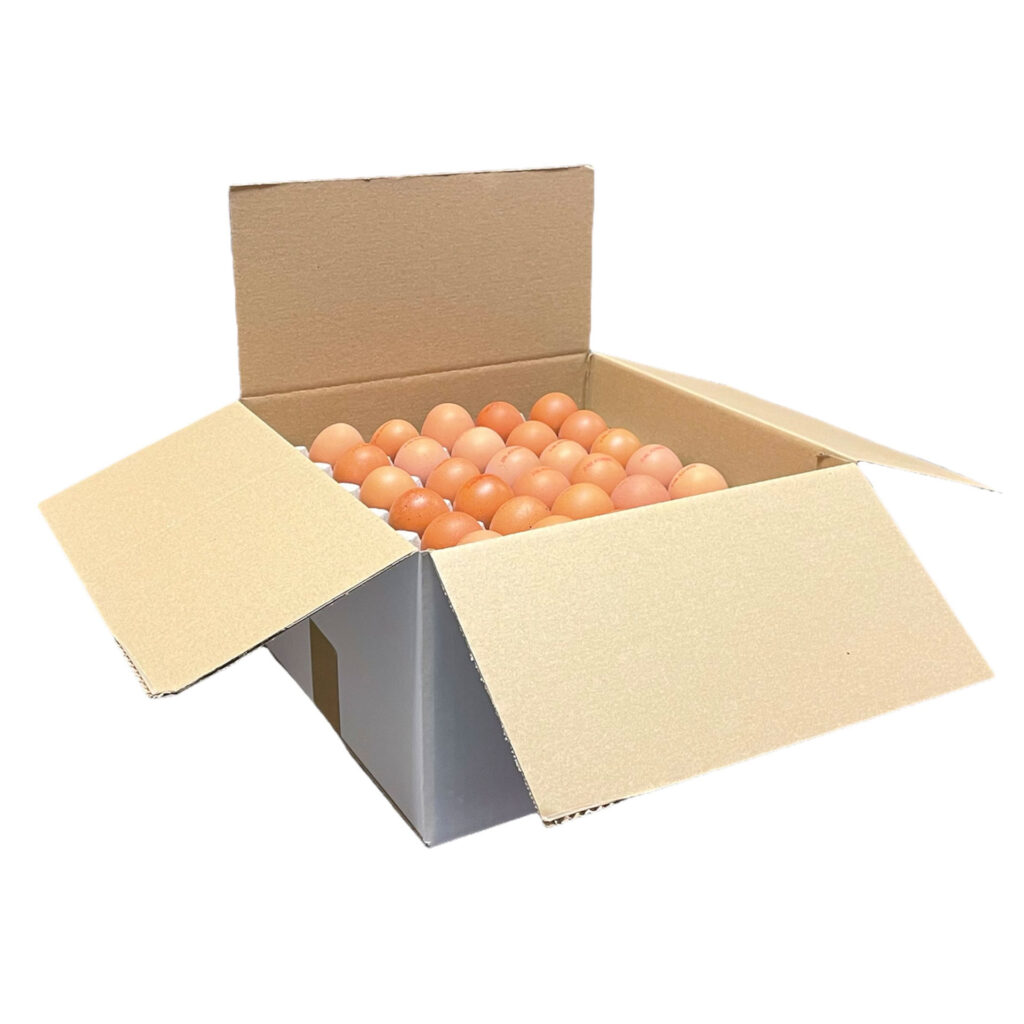 Een doos vol met eieren