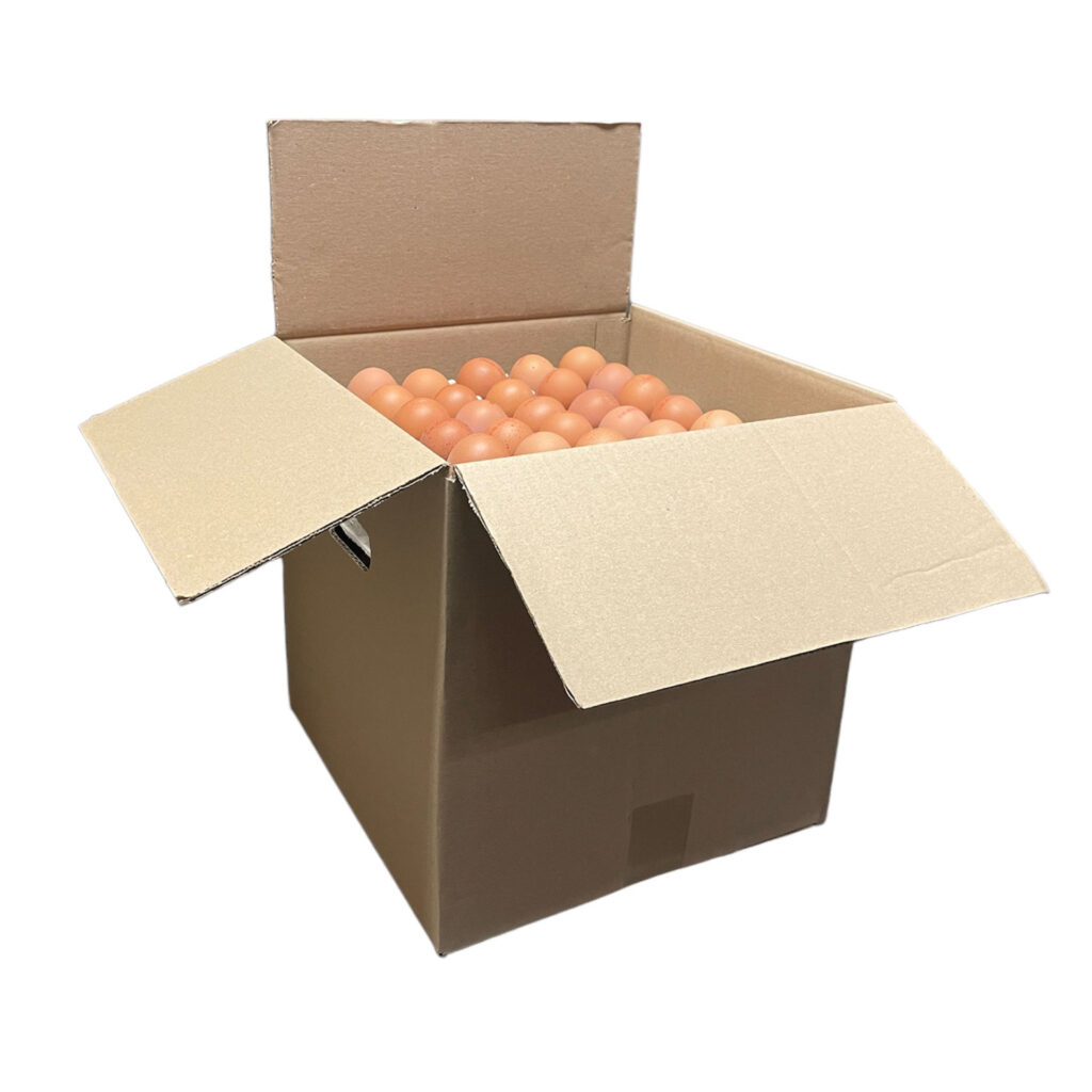 Een doos vol met eieren